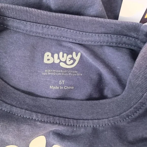 Bluey & Bingo Toddler Graphic T-Shirt Short Sleeve Kids Tee Size 5T NWT - Picture 3 of 4